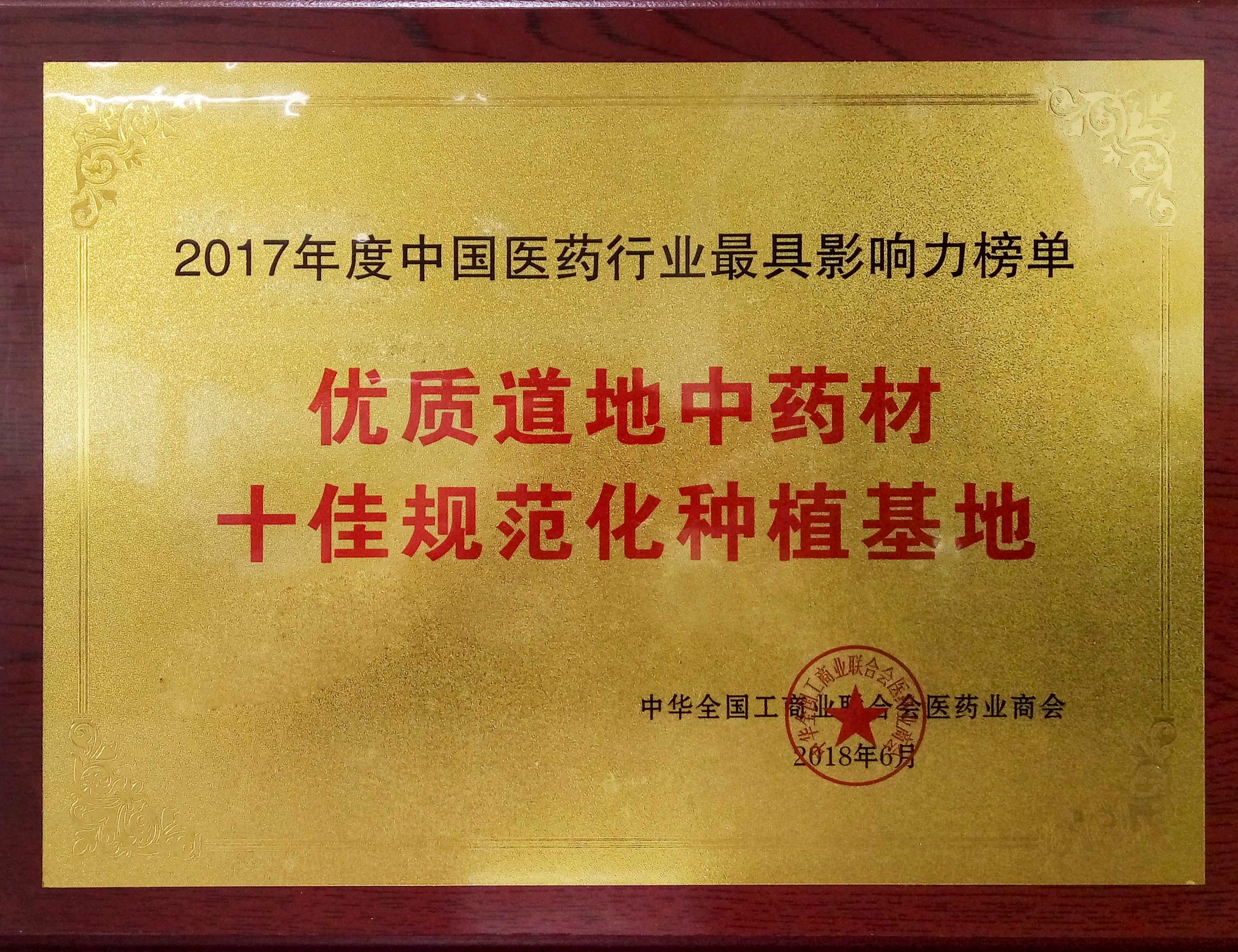 入選“2017年度中國(guó)醫(yī)藥行業(yè)最具影響力榜單”