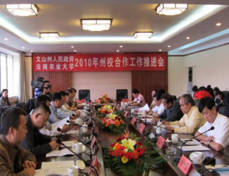 苗鄉(xiāng)三七與云南農(nóng)大簽署校企合作協(xié)議，構(gòu)建了戰(zhàn)略聯(lián)盟關(guān)系