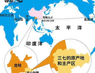 三七產(chǎn)地哪里的最好，廣西田七與云南三七有何區(qū)別