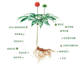三七救人無(wú)國(guó)界，美軍飛行員曾受益