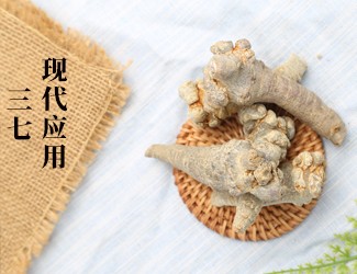 三七的功效作用在現(xiàn)代臨床中的應(yīng)用，揭秘醫(yī)生如何用三七治病